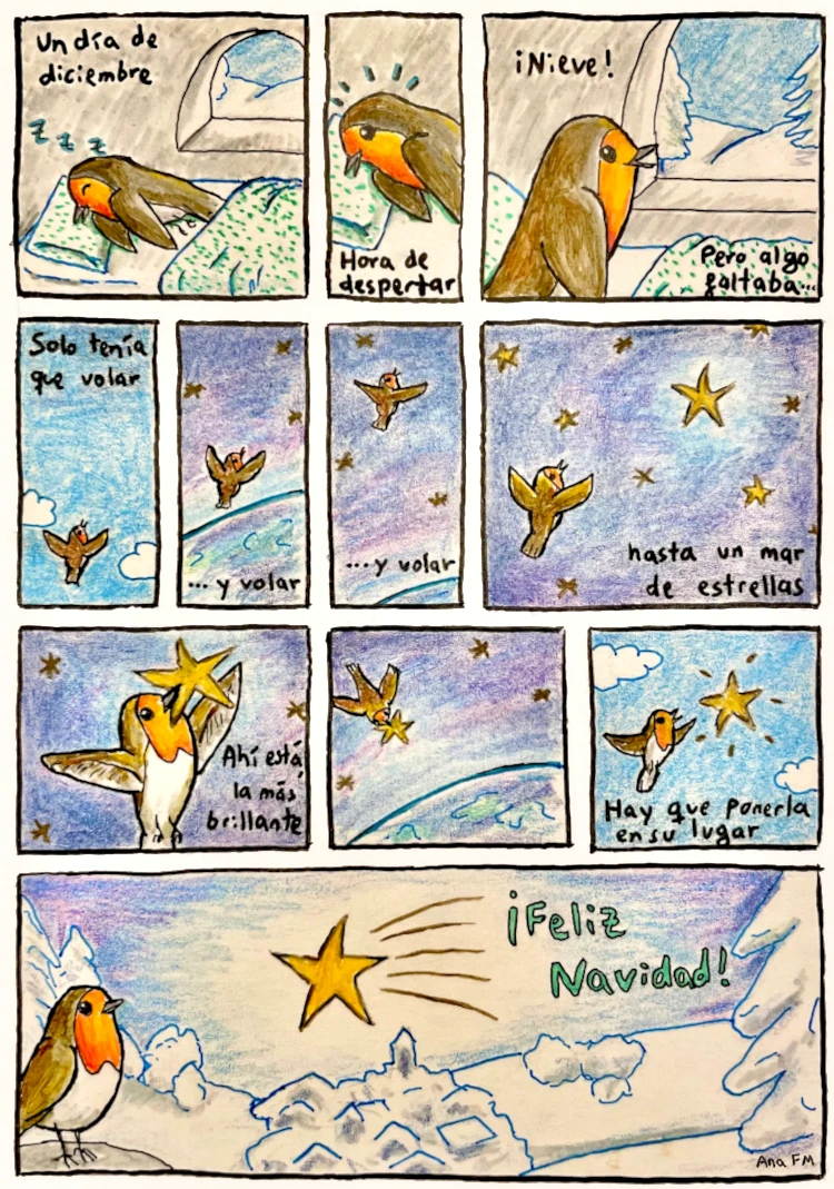 Un petirrojo busca la estrella de la Navidad