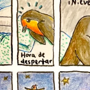 Un petirrojo busca la estrella de la Navidad