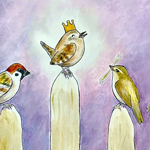 En una valla, diferentes pájaros adoran a su rey, el chochín paleártico