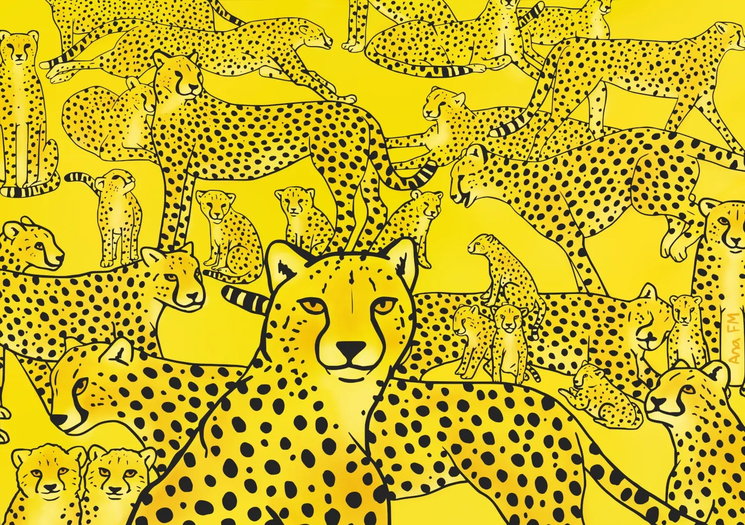 Decenas de guepardos sobre un fondo amarillo