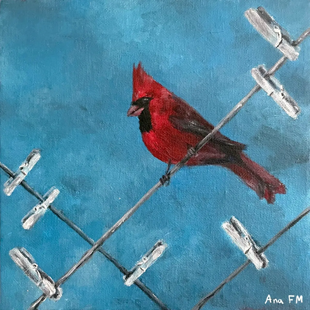 Lo bueno del color de mi plumaje es que nadie nota cuando me ruborizo Un cardenal norteño está posado entre pinzas de la ropa vacías