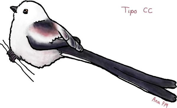 Mito común, tipo CC