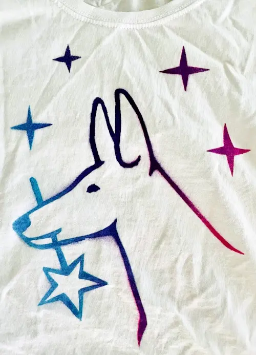 Camiseta de diseño propio Pintando una camiseta con espráis