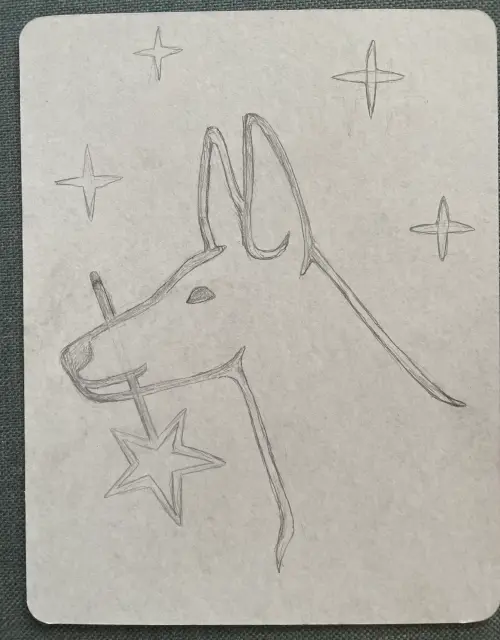 Dibujo sobre el cartón Dibujo sobre cartón antes de recortar